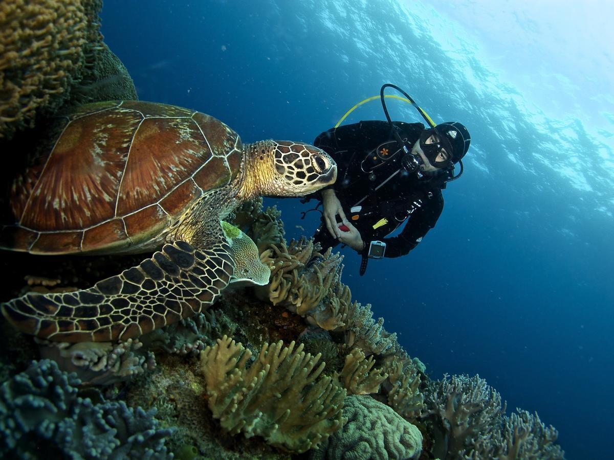 Liquid Dive Resort Дауин Экстерьер фото